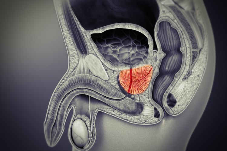 دلیل مبتلا شدن به پروستات؟