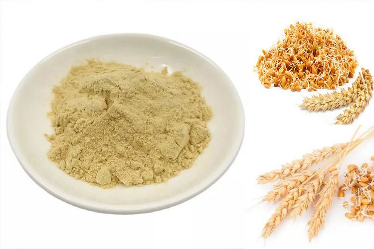 عوارض مصرف بیش از حد پودر جوانه گندم چیست؟