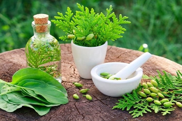 شامپو سبغ چیست