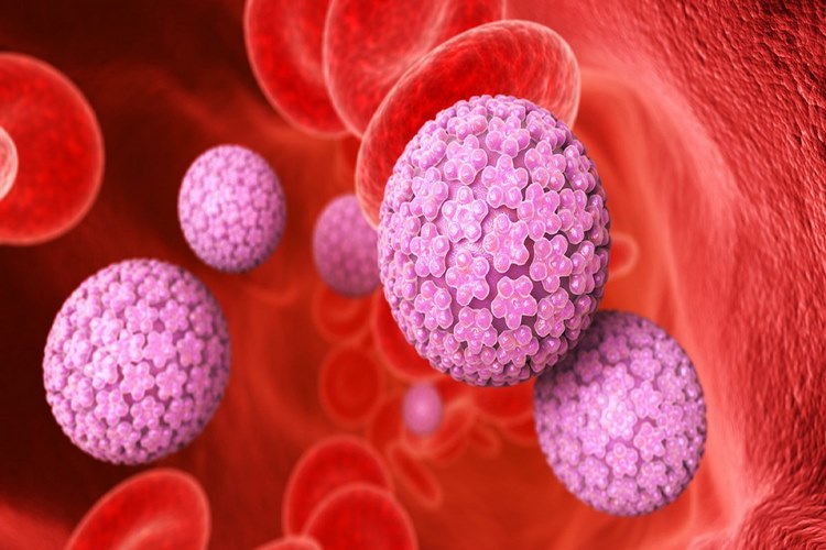 انواع ویروس HPV و تفاوت آن‌ها