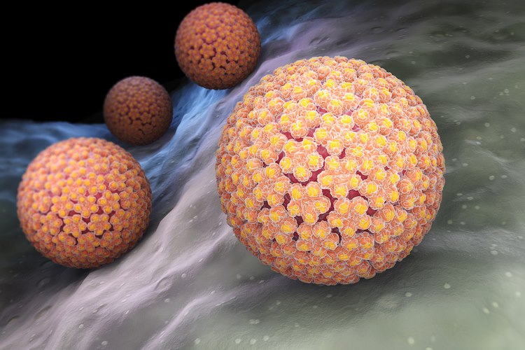 راه‌های انتقال ویروس HPV