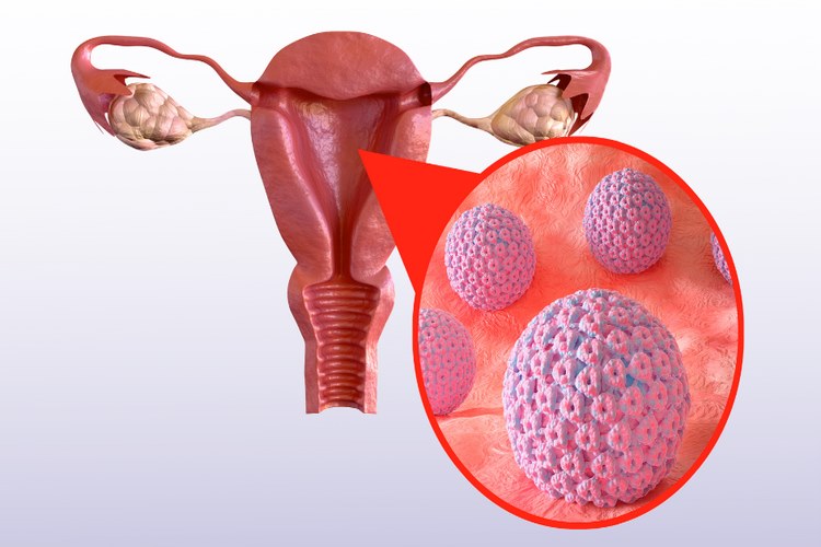 ویروس HPV چیست؟