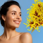 فواید فندق افسونگر برای پوست