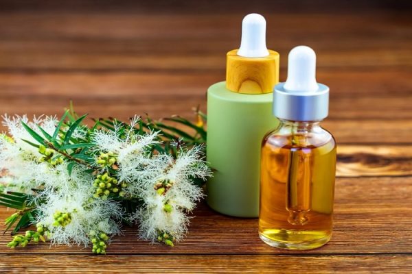 فواید شگفت‌ انگیز روغن درخت چای